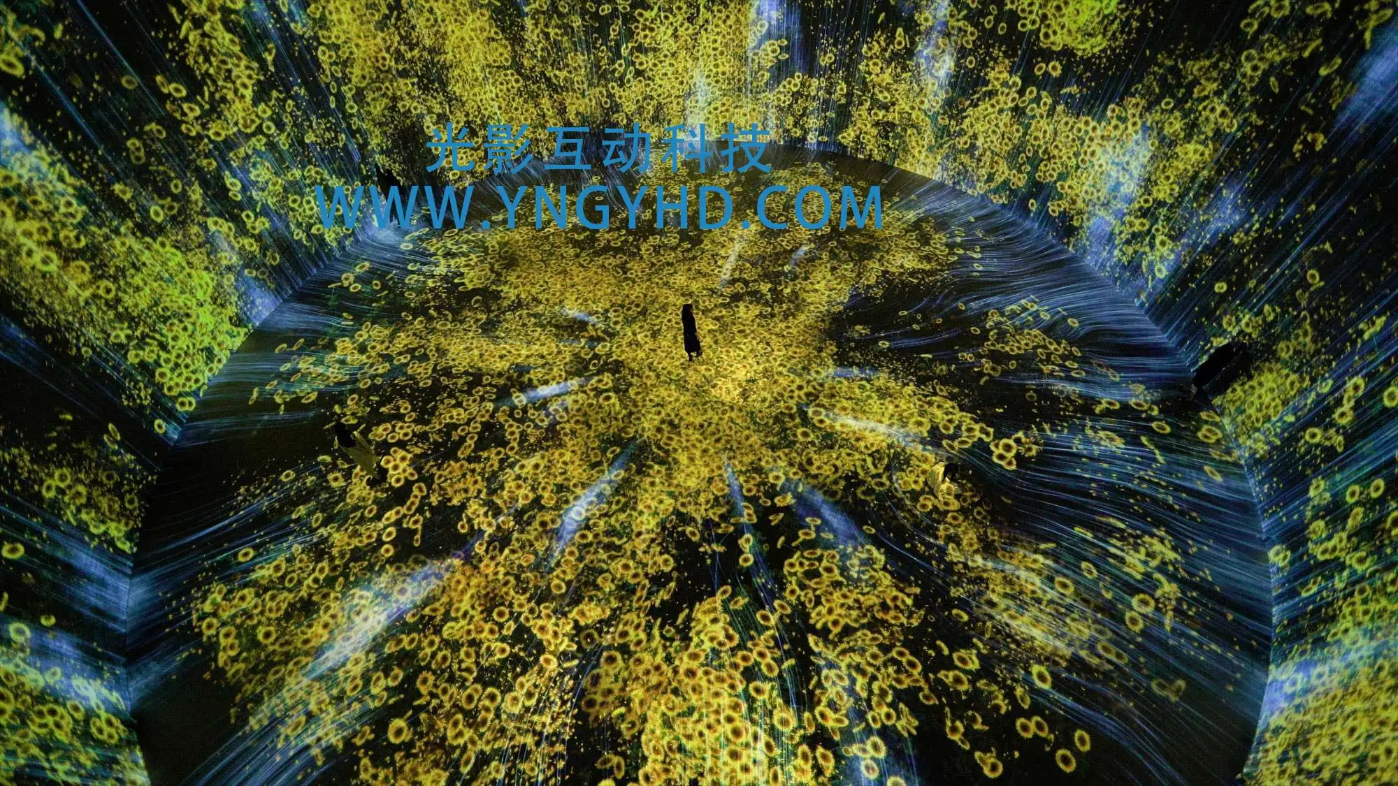 3d全息巨幕